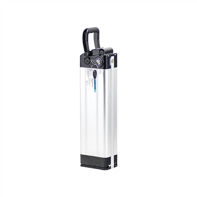 48V 20Ah Electric Bike Battery